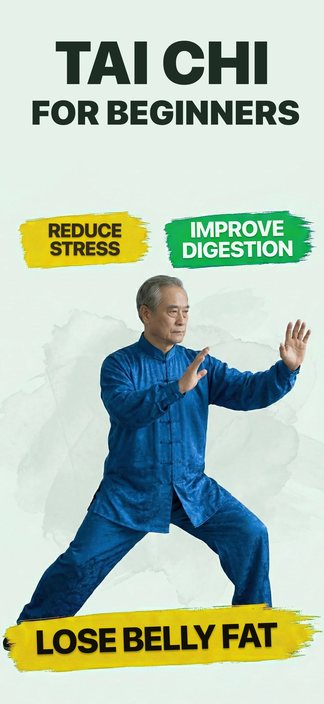 Tai Chi Workout For Seniors screenshot